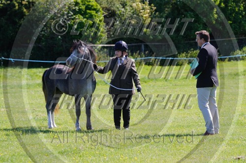 PJ Events at Barville Farm (1512) 