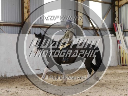 Colette's Showing Clinic at Jenkey Farm (1711) 