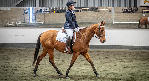 Redhorse Dressage at Willow Farm (2244) 