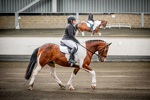 Redhorse Dressage at Willow Farm (QP2416)