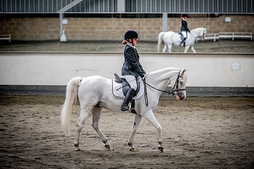 Redhorse Dressage at Willow Farm (QP2421)