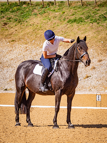 Breach Barn Dressage (QP2431)