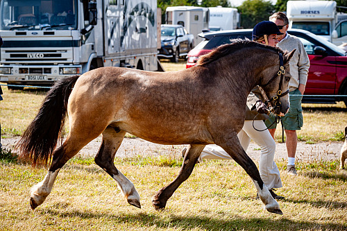 Colette's at Farming World (QP2433)