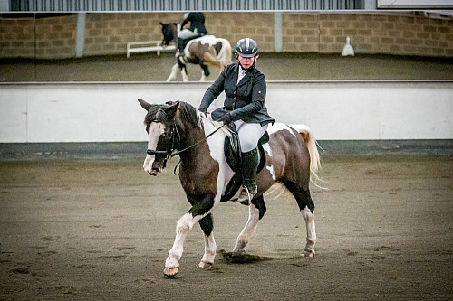  Redhorse Dressage at Willow Farm (QP2505) 