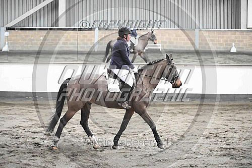 Redhorse Dressage at Willow Farm (QP2510) 