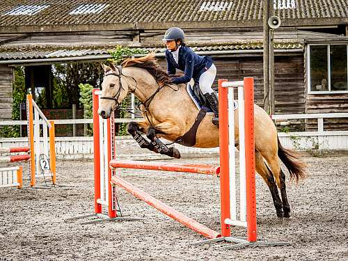 Colette's at Cobham Manor (QP2516) 