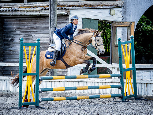  Colette's at Cobham Manor (QP2527) 