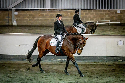  Redhorse Dressage at Willow Farm (QP2541) 