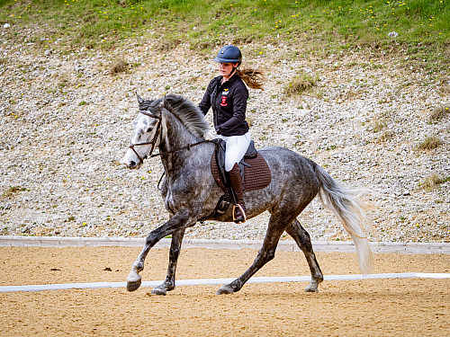  Breach Barn Dressage (QP2543) 