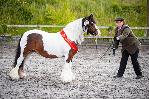 QP2611 Colette's at Cobham Manor 2026-04-12 