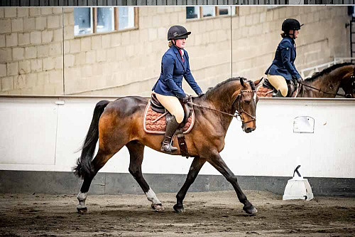 QP2625 Redhorse Dressage at Willow Farm 2026-07-26 