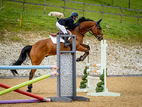 QP2626 Breach Barn Showjumping 2026-08-01 