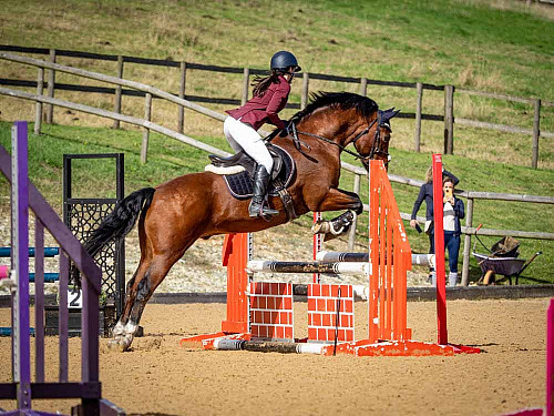 QP2637 Breach Barn Showjumping 2026-10-18 